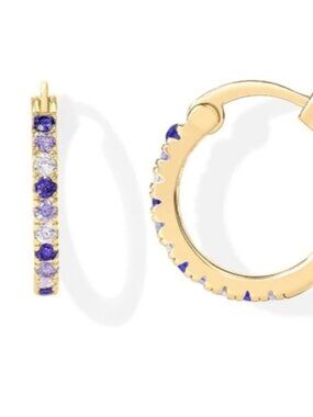 18K Gold Plated Purple Cubic Zirconia Hoop Earrings